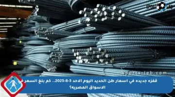 قفزة جديدة في أسعار طن الحديد اليوم الأحد 3-8-2025.. كم بلغ السعر في الأسواق المصرية؟